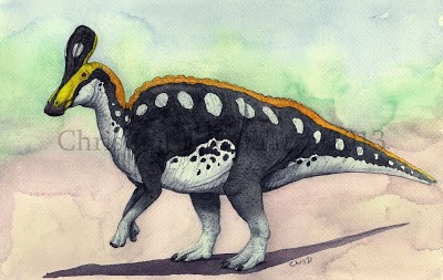 Khám phá thông tin thú vị về khủng long mỏ vịt Thanh Đảo Tsintaosaurus - 1