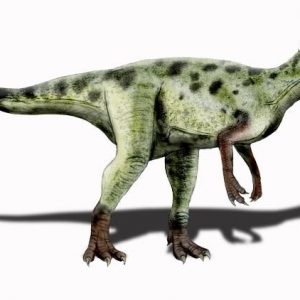 Cùng tìm hiểu về Khủng long Piatnitzkysaurus - 1