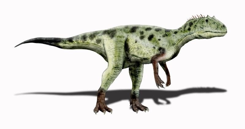 Cùng tìm hiểu về Khủng long Piatnitzkysaurus - 1