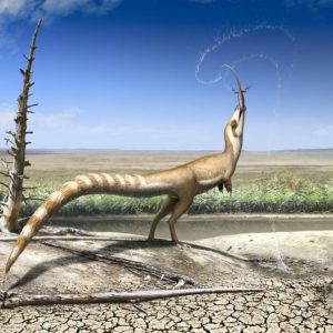 Cùng tìm hiểu về chú Khủng long lông vũ Sinosauropteryx điệu đà - 1