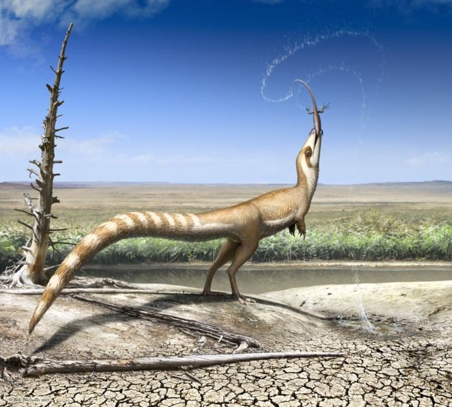 Cùng tìm hiểu về chú Khủng long lông vũ Sinosauropteryx điệu đà - 1