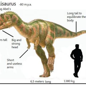 Khủng long Abelisaurus - Phiên bản thu nhỏ của Khủng long bạo chúa T-Rex - 1