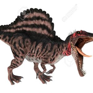 Khủng long gai ăn thịt lớn nhất thế giới Spinosaurus - những bí ẩn mà bạn chưa khám phá - 1