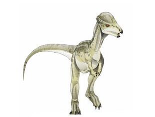 7 điều về khủng long sọ dày stegoceras mà bạn có thể chưa từng nghe qua - 1