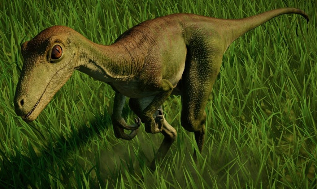 Bí ẩn về khủng long chân thú Troodon chưa được khám phá - 1