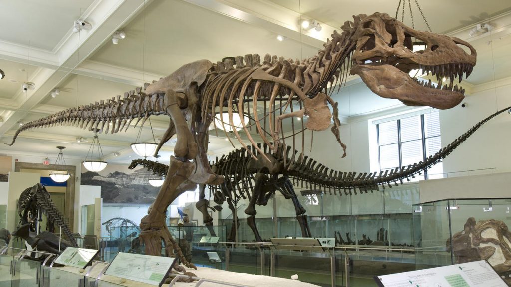 Những phát hiện bất ngờ về loài khủng long bạo chúa T-rex - 10