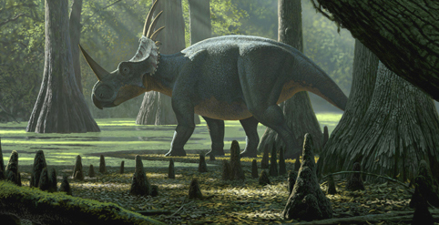 Những bí mật chưa được bật mí về loài khủng long gai Styracosaurus - 10
