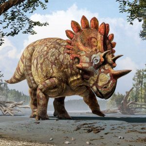 Khám phá động vật tiền sử: Khủng long ba sừng Triceratops - 11