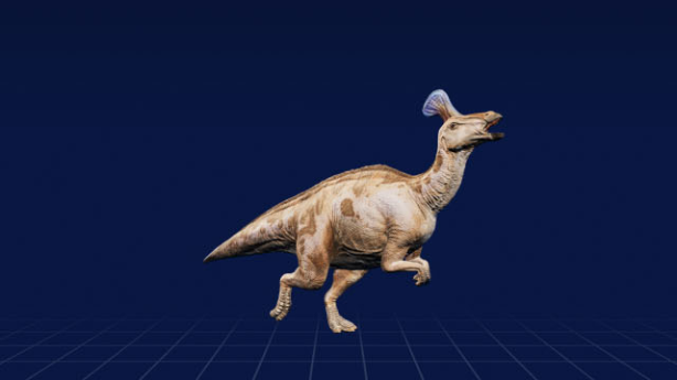 Khám phá thông tin thú vị về khủng long mỏ vịt Thanh Đảo Tsintaosaurus - 11