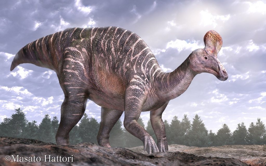 Khám phá thông tin thú vị về khủng long mỏ vịt Thanh Đảo Tsintaosaurus - 12