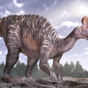 Khám phá thông tin thú vị về khủng long mỏ vịt Thanh Đảo Tsintaosaurus - 12