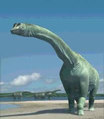 Khám phá bí ẩn loài Khủng long Ai Cập Aegyptosaurus - 1