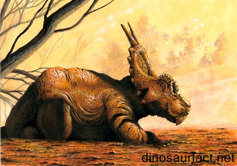Khám phá về loài khủng long đặc biệt: Khủng long mỏ vẹt Achelousaurus - 9