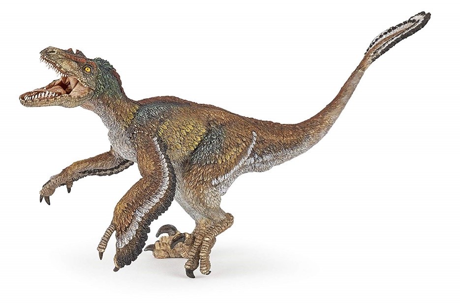 Khám phá bí mật chưa biết về khủng long móng vuốt Velociraptor - 2