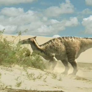 Sự thật thú vị về khủng long mào mỏ vịt Saurolophus - 2