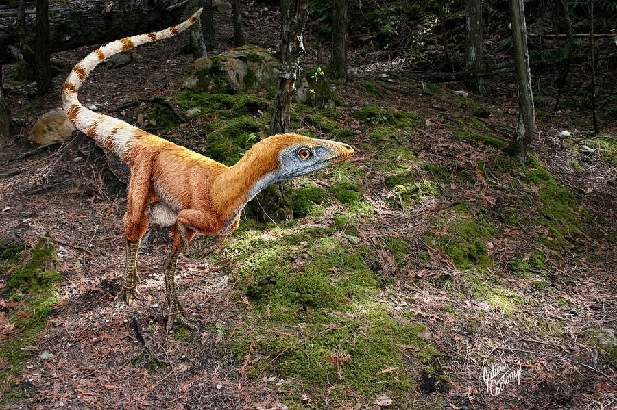 Cùng tìm hiểu về chú Khủng long lông vũ Sinosauropteryx điệu đà - 2