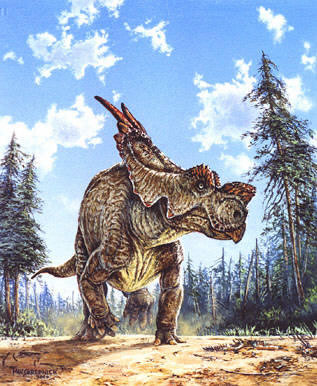 Khám phá về loài khủng long đặc biệt: Khủng long mỏ vẹt Achelousaurus - 4