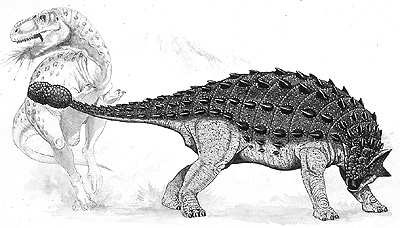 Tìm hiểu về loài khủng long xinh đẹp Saichania - 2