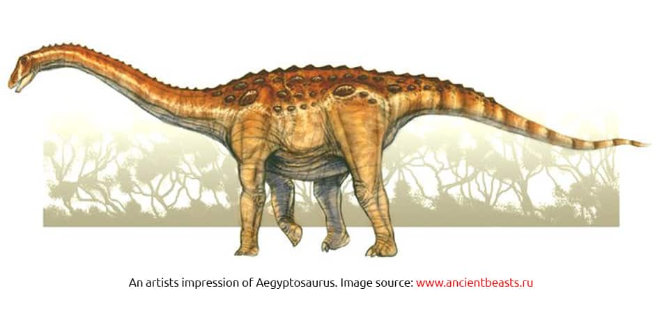 Khám phá bí ẩn loài Khủng long Ai Cập Aegyptosaurus - 3