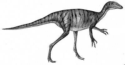 Bí ẩn về khủng long chân thú Troodon chưa được khám phá - 2