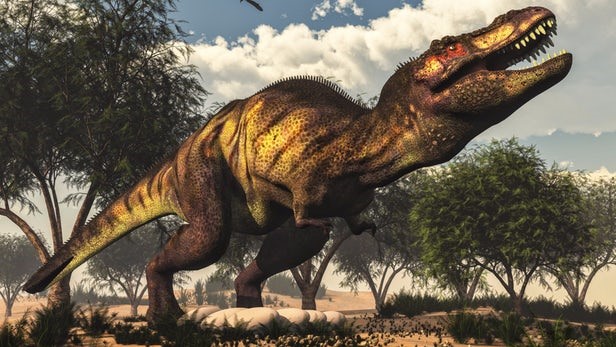 Những phát hiện bất ngờ về loài khủng long bạo chúa T-rex - 2