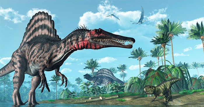 Khủng long gai ăn thịt lớn nhất thế giới Spinosaurus - những bí ẩn mà bạn chưa khám phá - 2