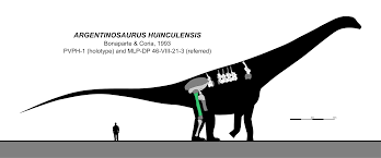 Khám Phá Mọi Điều Về Loài Khủng Long Thằn Lằn To Nhất Thế Giới Argentinosaurus - 2