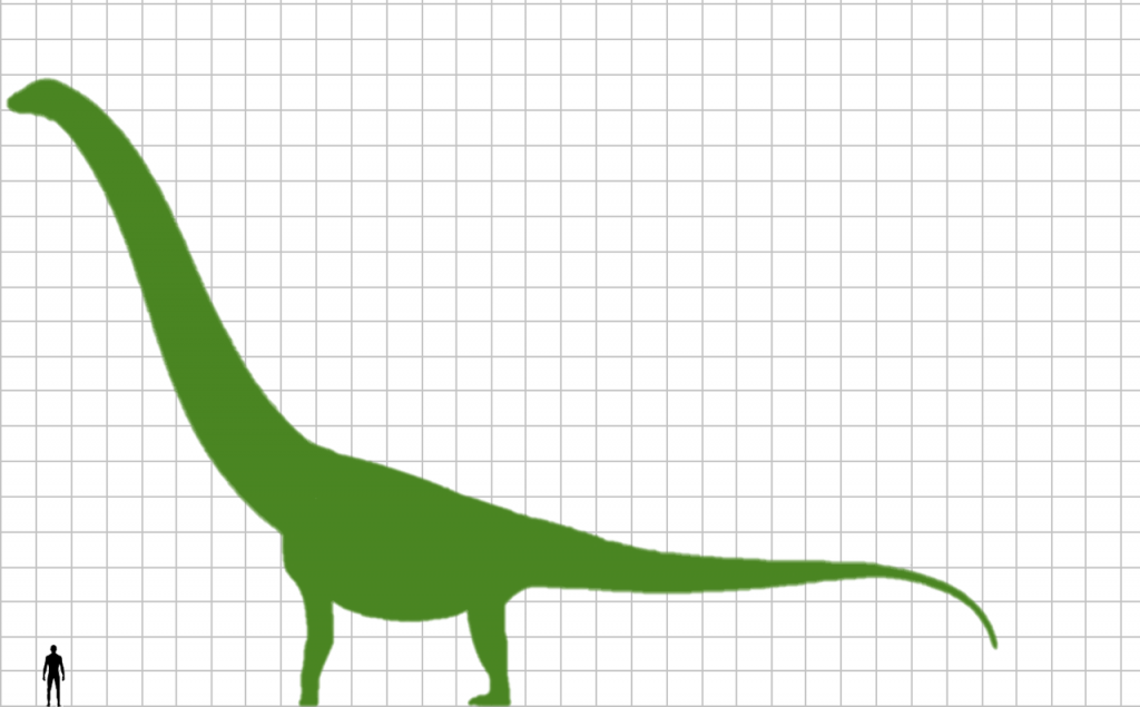 Khám Phá Mọi Điều Về Loài Khủng Long Thằn Lằn To Nhất Thế Giới Argentinosaurus - 3