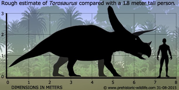 Những sự thật thú vị về khủng long sọ dài Torosaurus mà bạn chưa biết - 3
