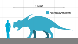 Khám phá về loài khủng long đặc biệt: Khủng long mỏ vẹt Achelousaurus - 3