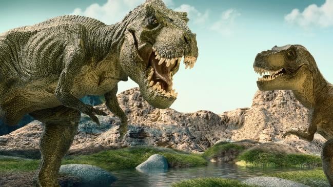 Những phát hiện bất ngờ về loài khủng long bạo chúa T-rex - 3