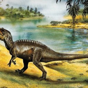 5 sự thật thú vị về loài Khủng long gai sống cao Acrocanthosaurus - 3
