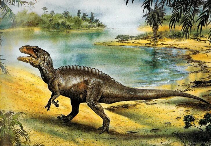 5 sự thật thú vị về loài Khủng long gai sống cao Acrocanthosaurus - 3