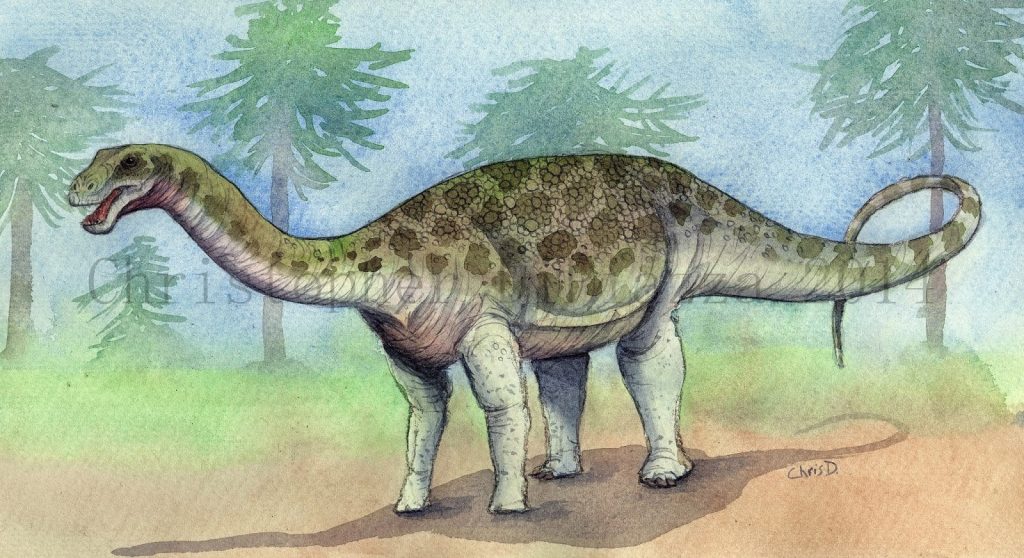 t về khủng long chân thằn lằn Saltasaurus - 4