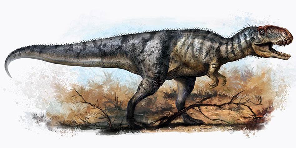 khủng long Vĩnh Xuyên Yangchuanosaurus - 3