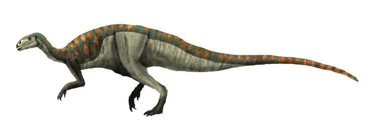Bí ẩn về khủng long gân Tenontosaurus chưa được giải đáp - 4