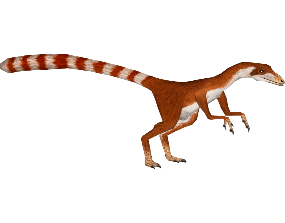 Cùng tìm hiểu về chú Khủng long lông vũ Sinosauropteryx điệu đà - 4