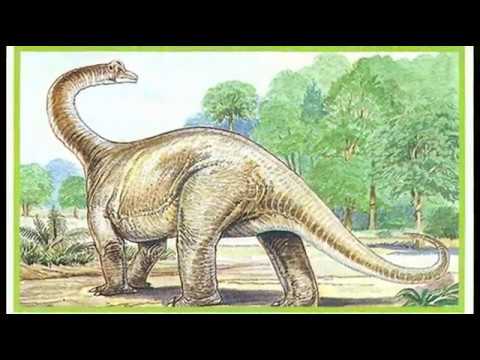 Khám phá bí ẩn loài Khủng long Ai Cập Aegyptosaurus - 7
