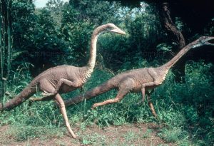 Khám phá những bí ẩn về khủng long tự đà Struthiomimus - 4
