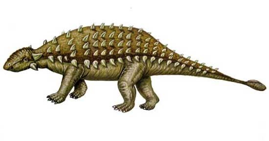 Tìm hiểu về loài khủng long xinh đẹp Saichania - 5