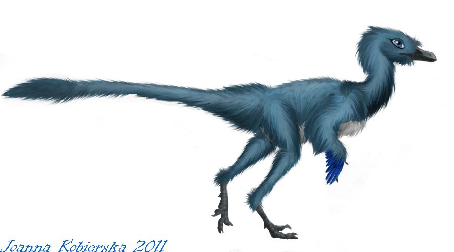 Bí ẩn về khủng long chân thú Troodon chưa được khám phá - 4