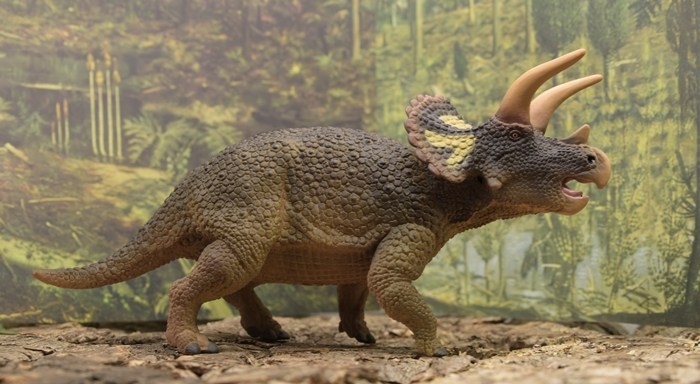 Khám phá động vật tiền sử: Khủng long ba sừng Triceratops - 4