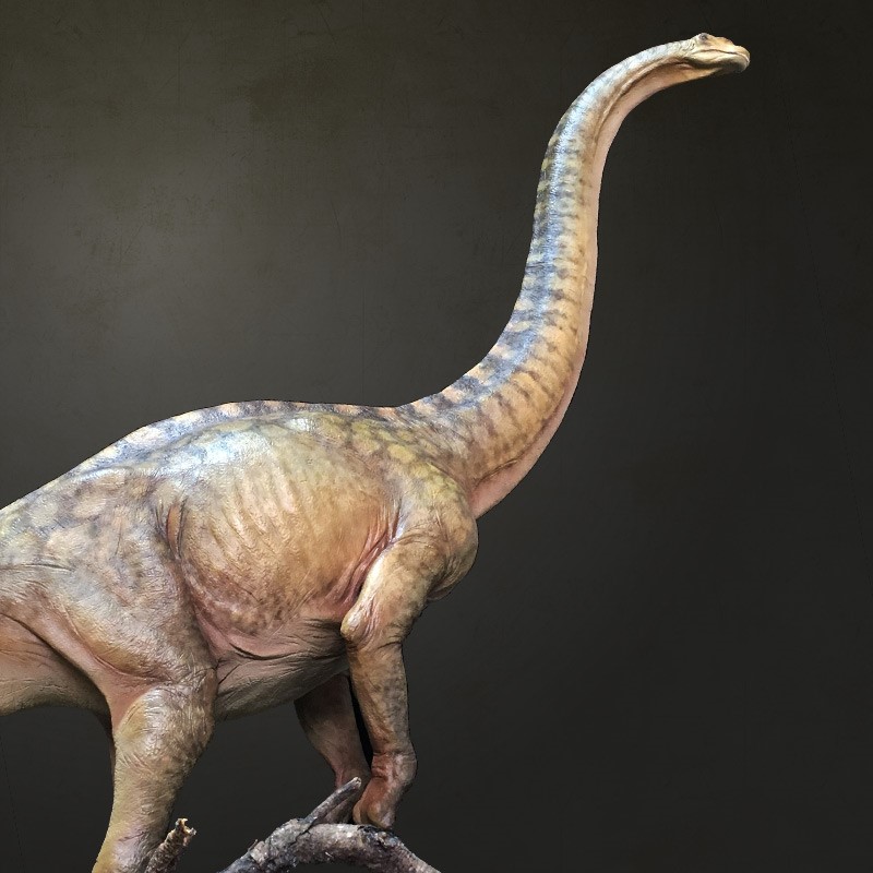 Khám Phá Mọi Điều Về Loài Khủng Long Thằn Lằn To Nhất Thế Giới Argentinosaurus - 4