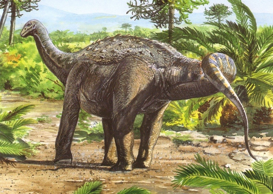 t về khủng long chân thằn lằn Saltasaurus - 5
