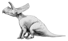 Những sự thật thú vị về khủng long sọ dài Torosaurus mà bạn chưa biết - 5
