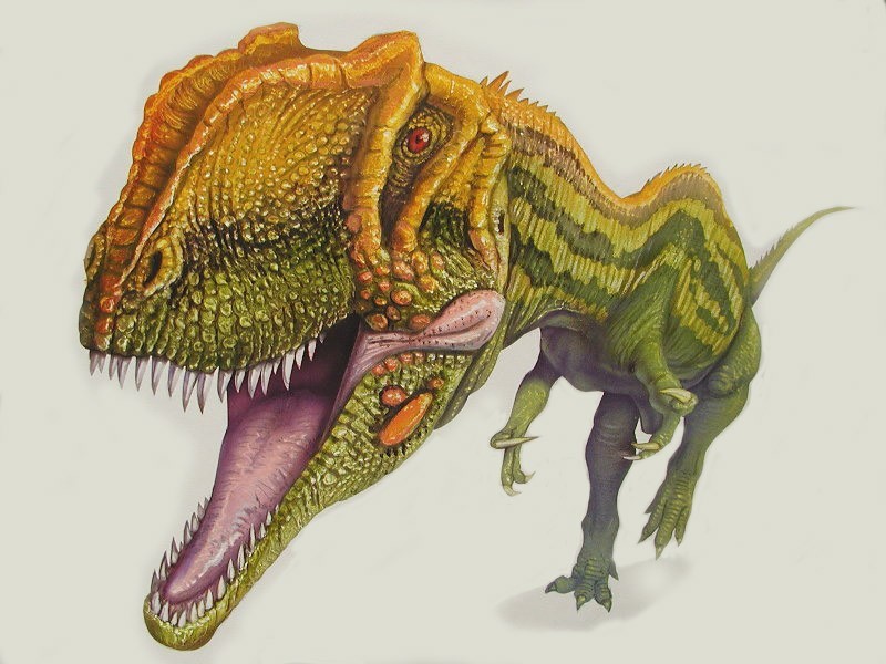 khủng long Vĩnh Xuyên Yangchuanosaurus - 4