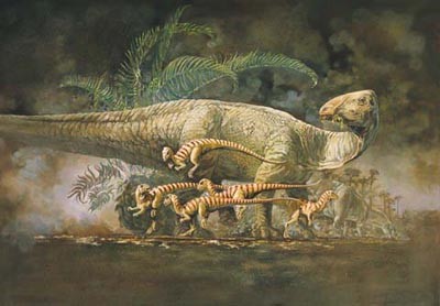 Bí ẩn về khủng long gân Tenontosaurus chưa được giải đáp - 5