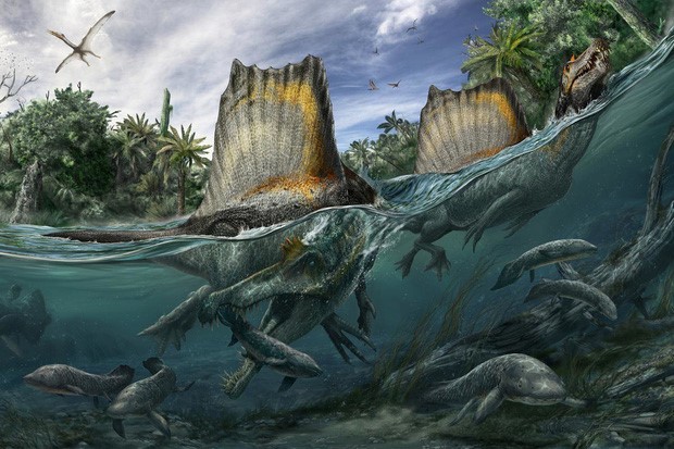 Khủng long gai ăn thịt lớn nhất thế giới Spinosaurus - những bí ẩn mà bạn chưa khám phá - 5