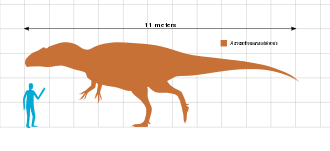 5 sự thật thú vị về loài Khủng long gai sống cao Acrocanthosaurus - 7