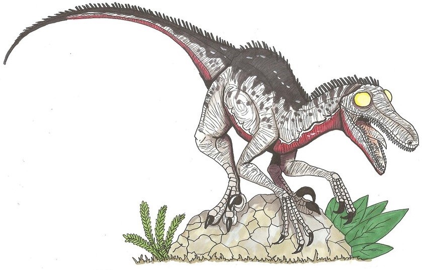 Bí ẩn về khủng long chân thú Troodon chưa được khám phá - 5